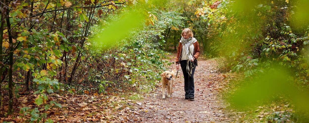 Vrouw met hond in het bos
