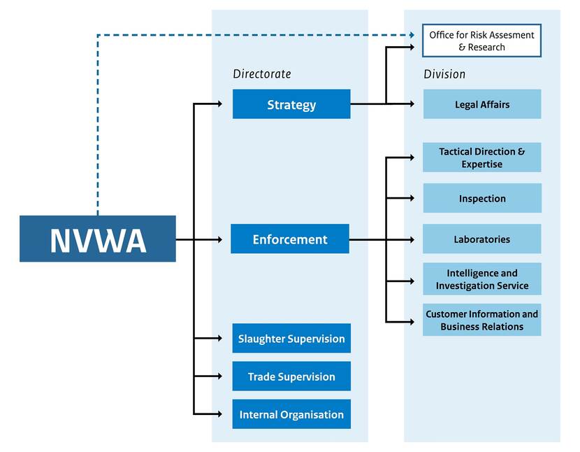 Organisation chart